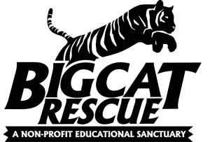 Bigcat Rescue